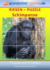 Riesenpuzzle_Schimpanse.pdf